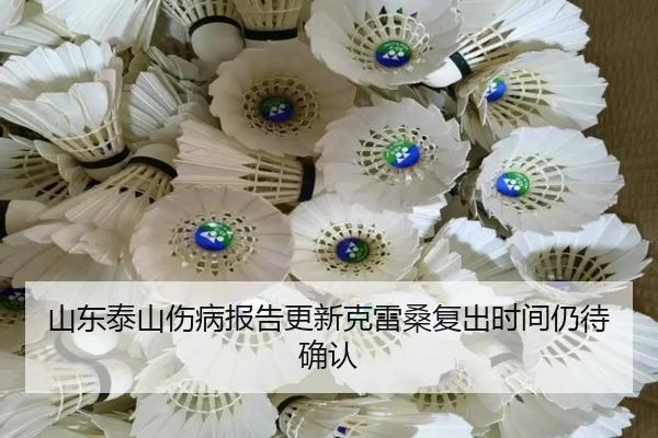 山东泰山伤病报告更新克雷桑复出时间仍待确认
