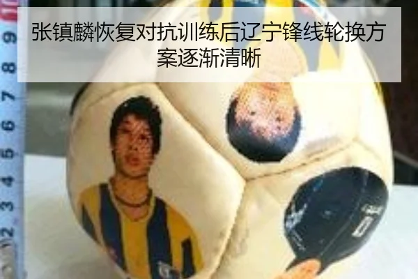 张镇麟恢复对抗训练后辽宁锋线轮换方案逐渐清晰